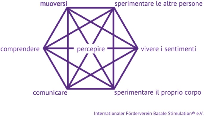 schema
