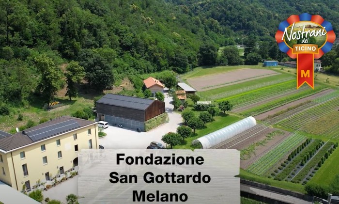 Spot i Nostrani del Ticino - Tisana Fondazione San Gottardo